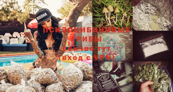 амф Няндома