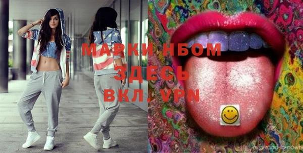 амф Няндома