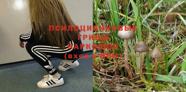 амф Няндома