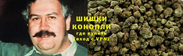 трава Нягань