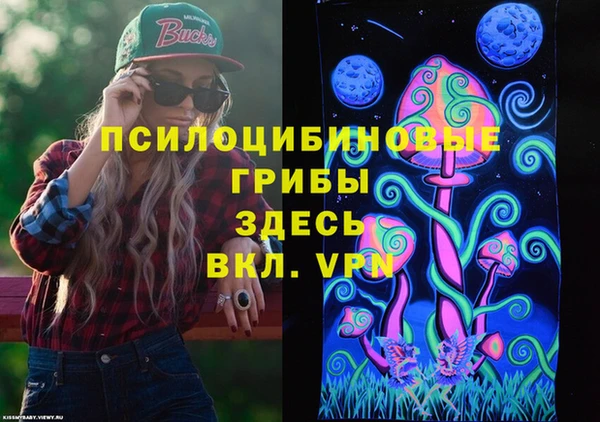 амф Няндома