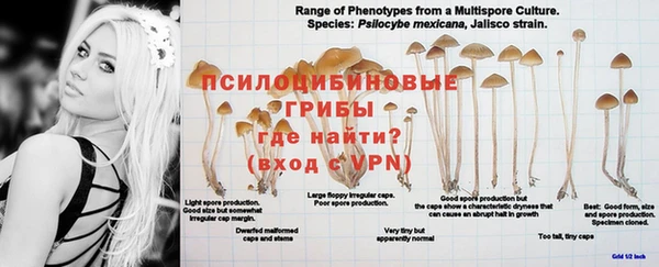 трава Нягань