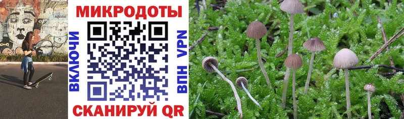Галлюциногенные грибы Cubensis  Осташков 